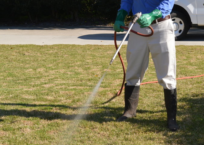 Fertilization & Pest Control in Lakeland, FL