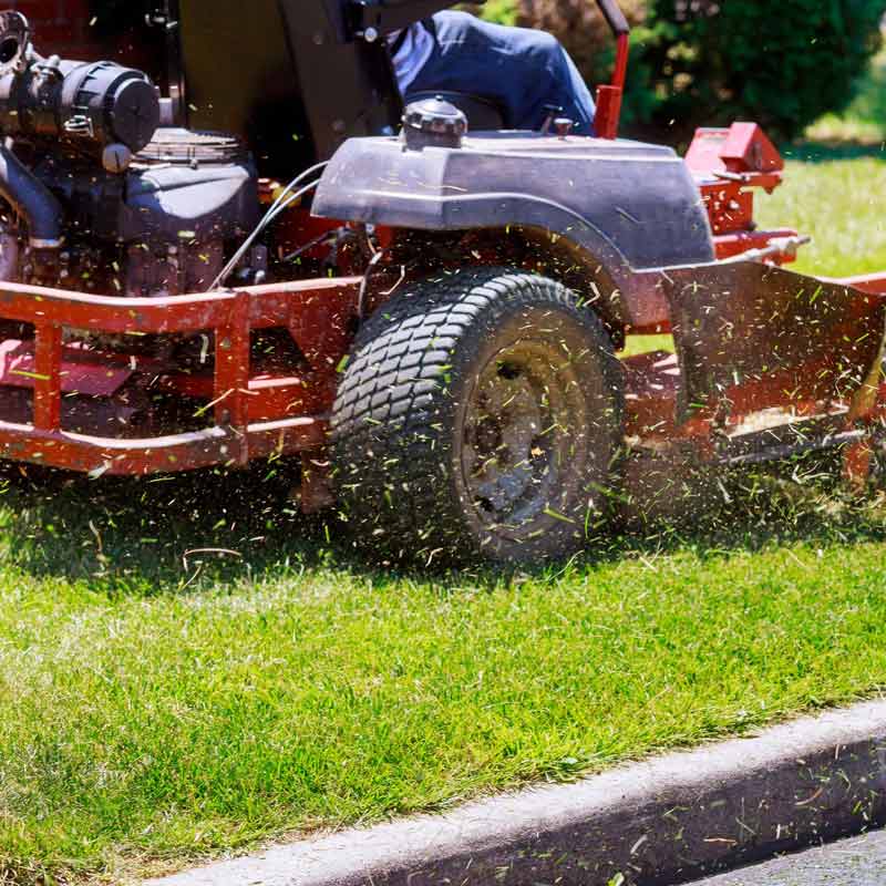 Luxury Lawns | Landscaping and Lawn care in Lakeland, FL | Mowing | Edging | Landscape Design